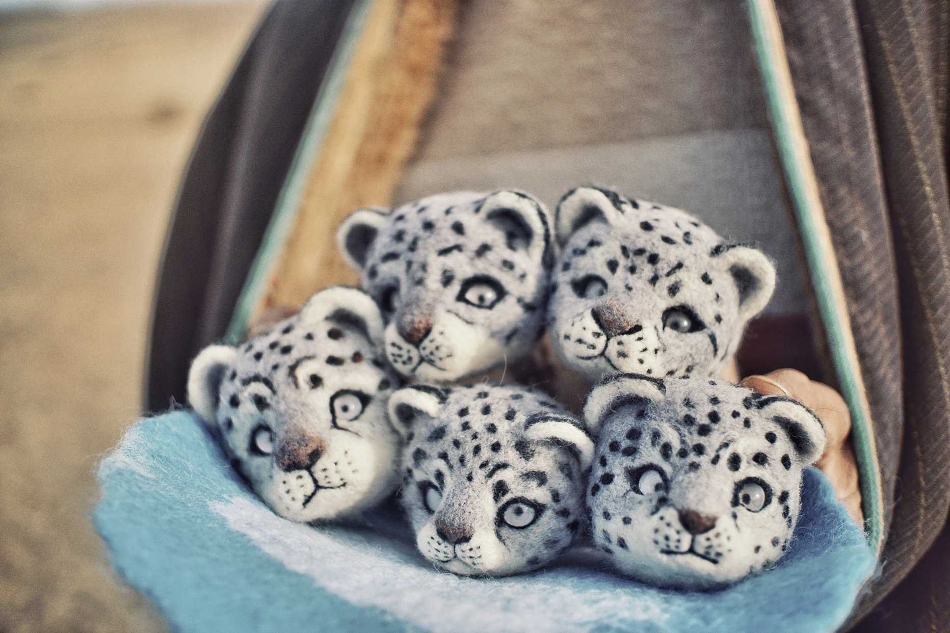 【卓贝罗罗】雪豹