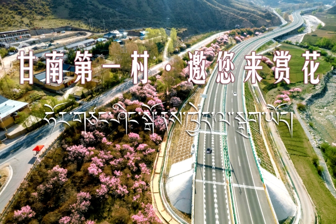 2025年甘南第一村文化旅游摄影采风活动的公告