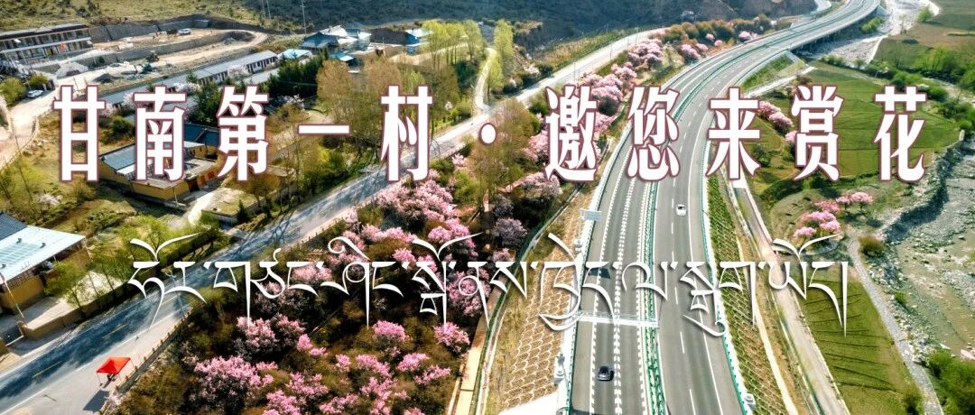 2026年夏河县第四届香告梅朵文化旅游活动摄影采风启事